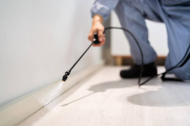 Licensed Termite Control service in Menlo Park, CA - Nex Pest Control