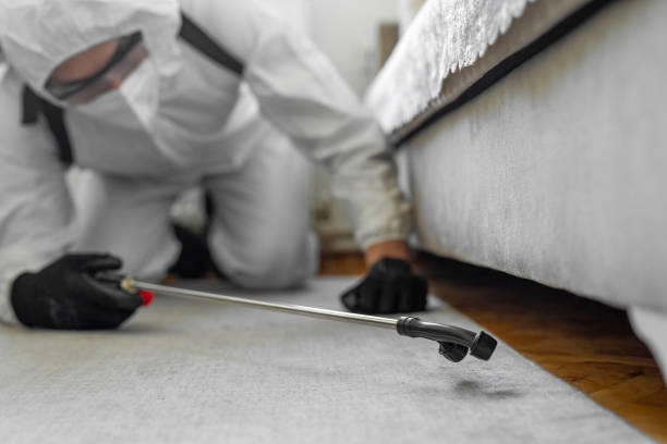 Professional Termite Control technician working in Menlo Park, CA