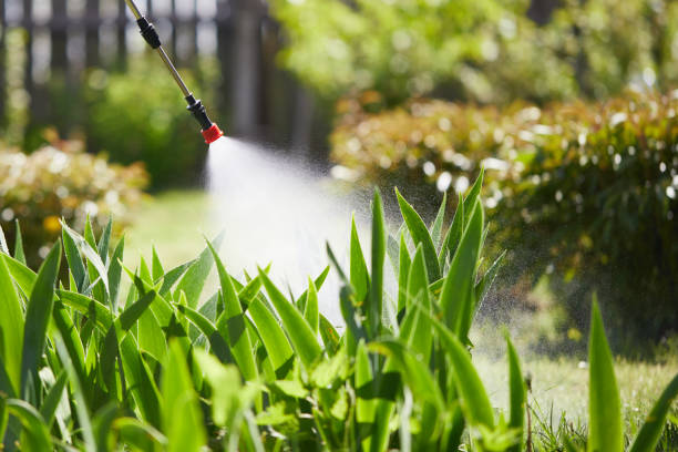 24/7 Emergency Termite Control experts in Menlo Park, CA