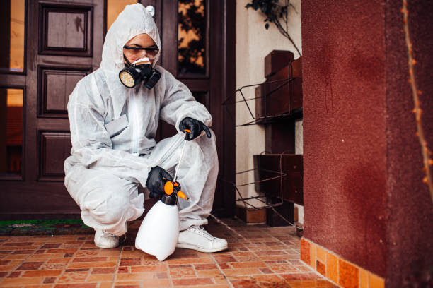 Reliable Termite Control contractor in Menlo Park, CA by Nex Pest Control