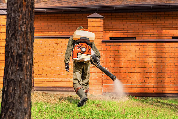 Trusted Rodent Control service in Menlo Park, CA - Nex Pest Control